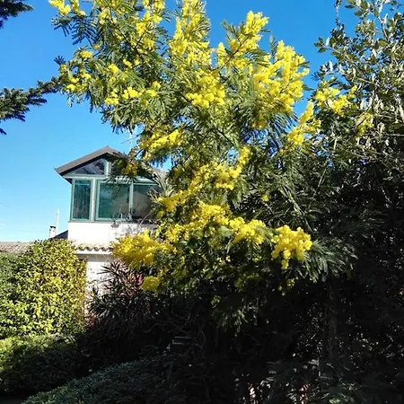Terrazza Santa Chiara - Etna Vakantiehuis